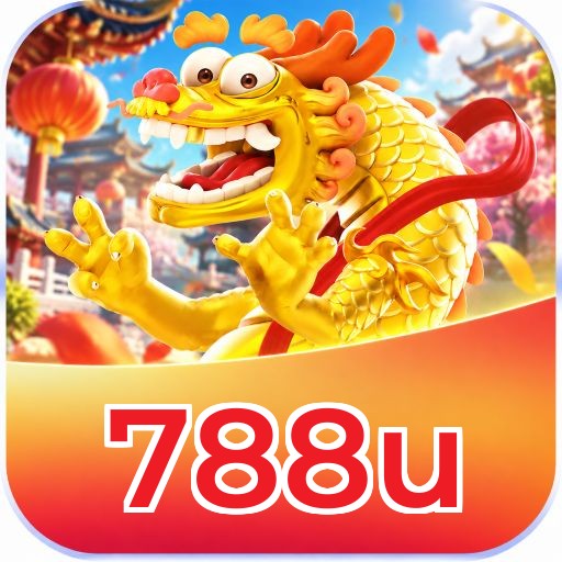 788u Security Analysis